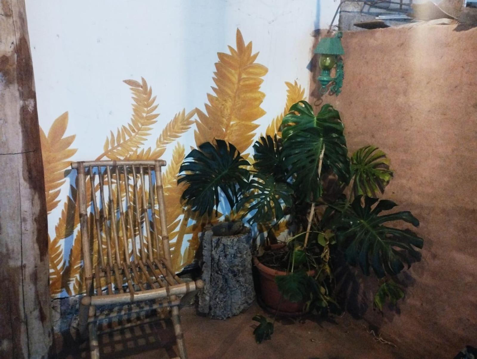 Country Living School Guest House Laconi Ngoại thất bức ảnh
